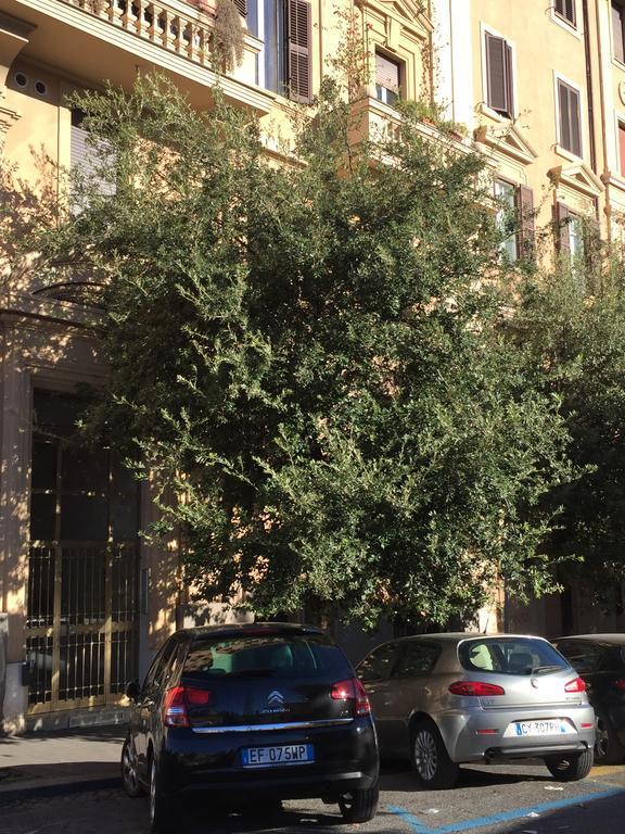 Appartamento Vatican *